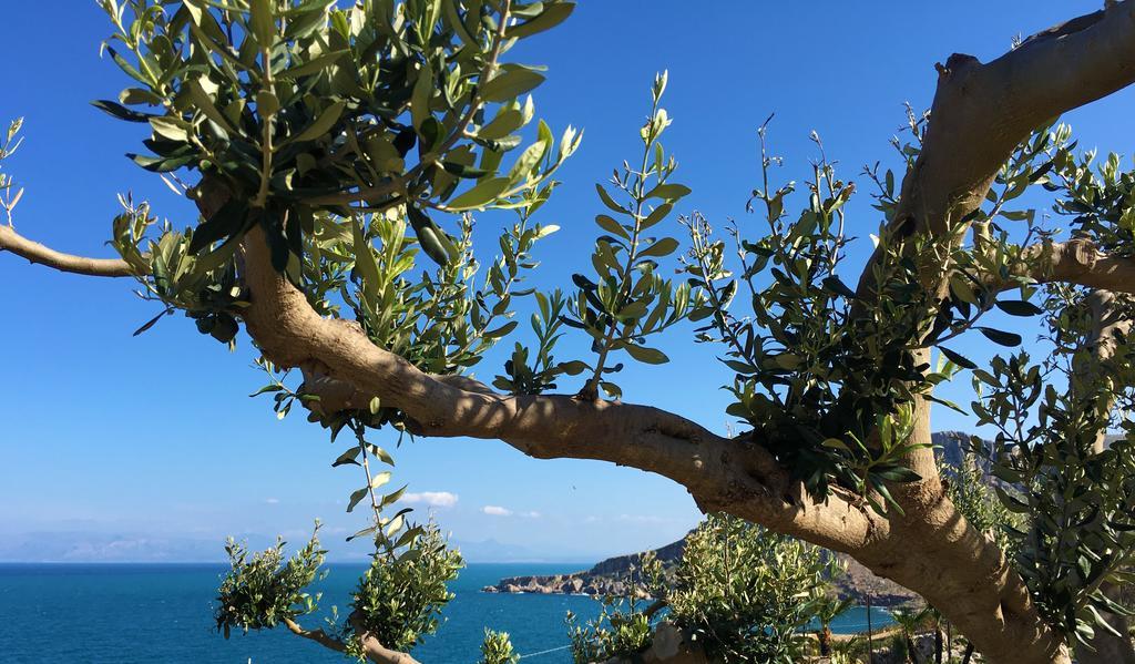 Il Casale San Vito Apartment ซานวิโต โลคาโป ภายนอก รูปภาพ